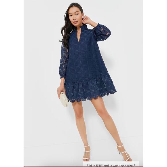 Tuckernuck Dresses & Skirts - Tuckernuck Navy Organza Palmerston Dress Sz M